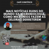 Em ação promovida pelo PPCIAM, professor da Universidade de Aarhus (Dinamarca) fará palestra abordando como as mudanças climáticas estão influenciando na mudança da comunidade de microorganismos das geleiras árticas